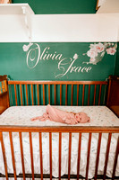 Newborn :: Olivia